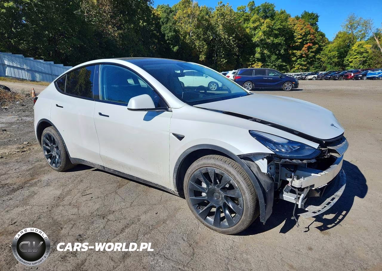 2023 Tesla Model Y VIN:7SAYDGEE9PA080209 - 4