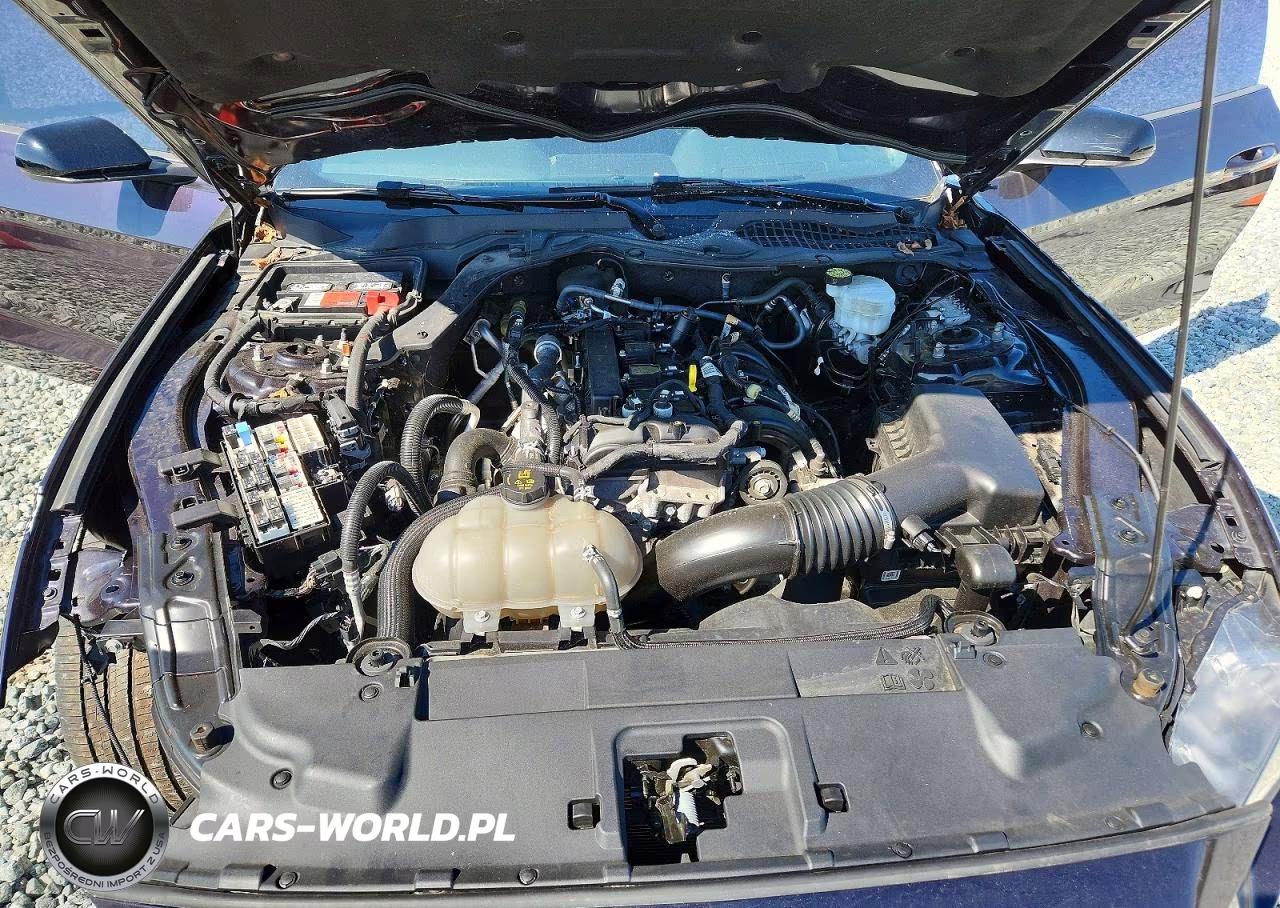 2023 Ford Mustang VIN:1FA6P8TH0P5101466 - 11
