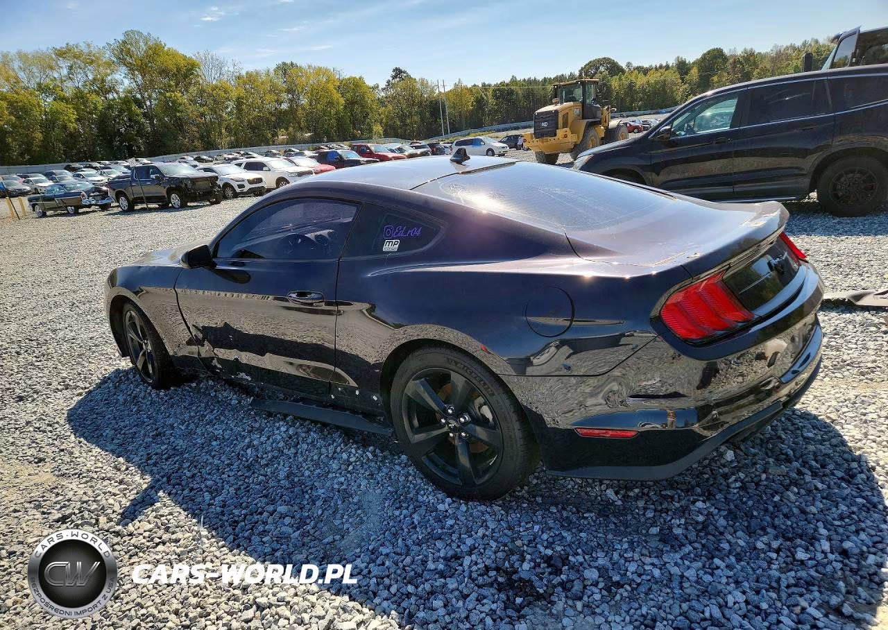 2023 Ford Mustang VIN:1FA6P8TH0P5101466 - 2