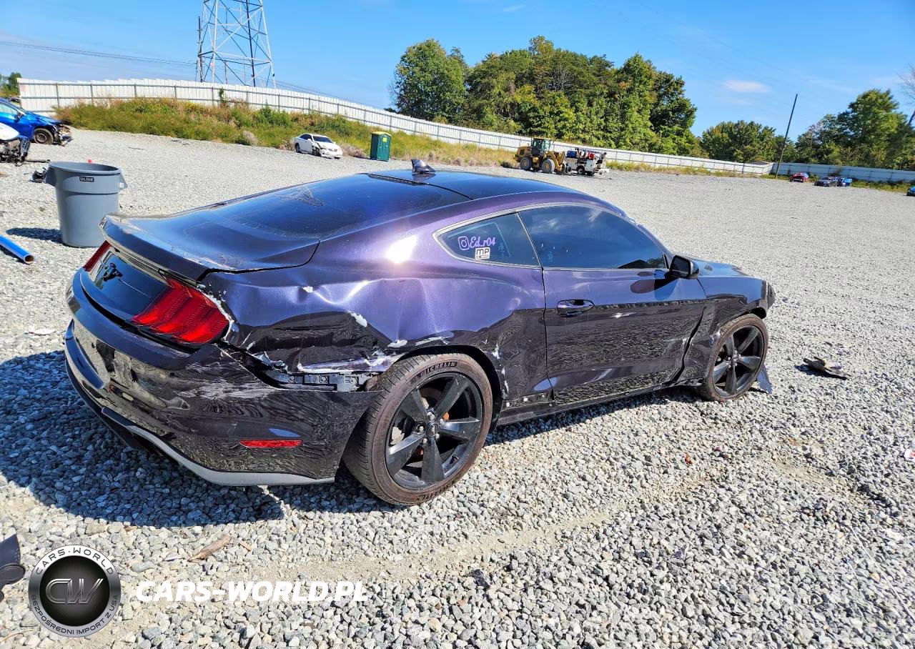 2023 Ford Mustang VIN:1FA6P8TH0P5101466 - 3