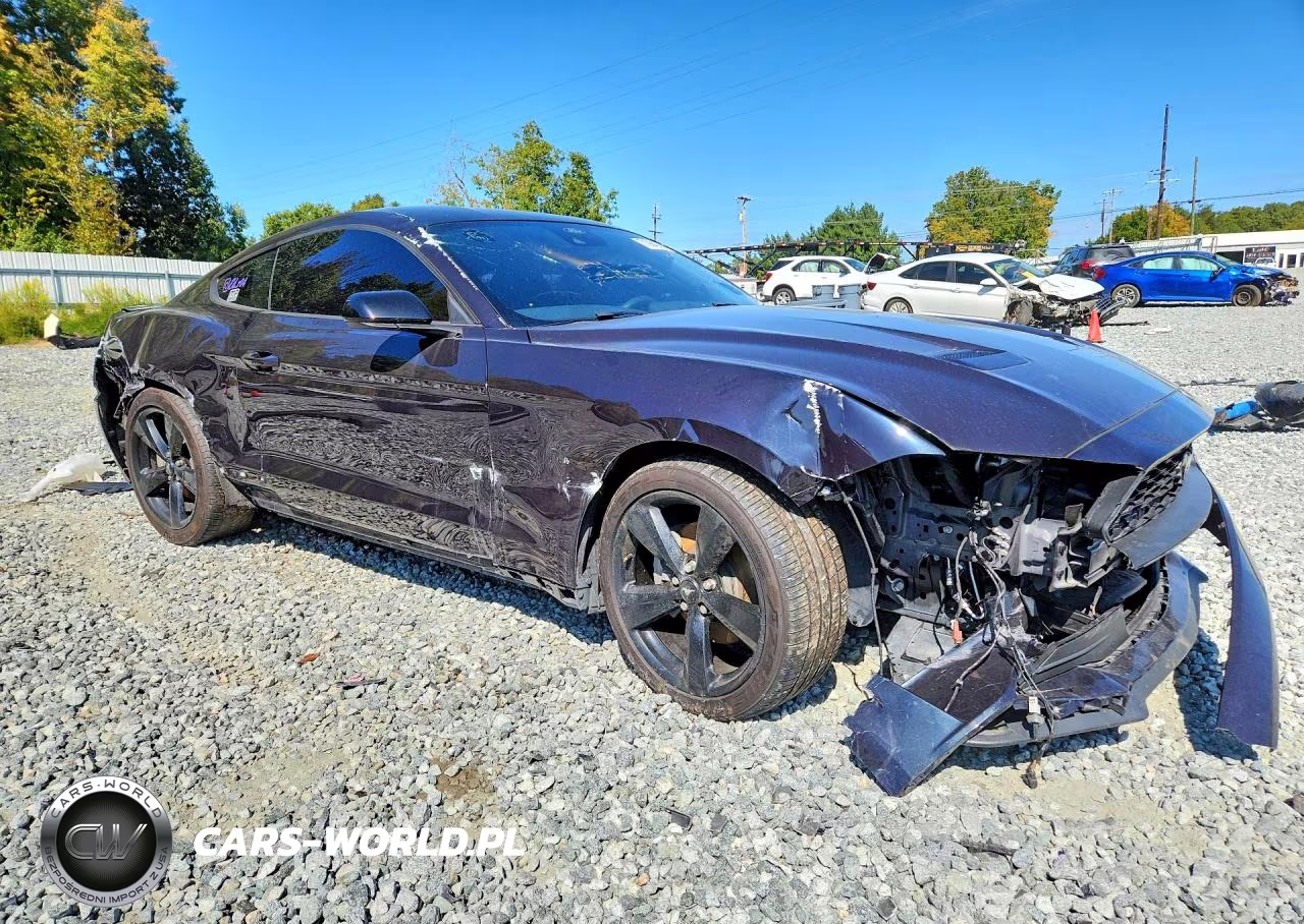 2023 Ford Mustang VIN:1FA6P8TH0P5101466 - 4