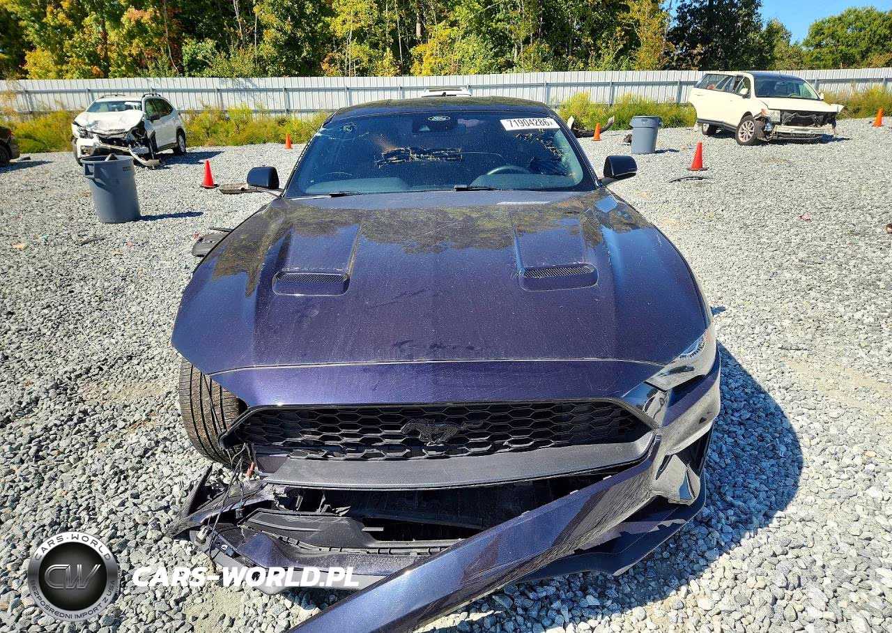 2023 Ford Mustang VIN:1FA6P8TH0P5101466 - 5