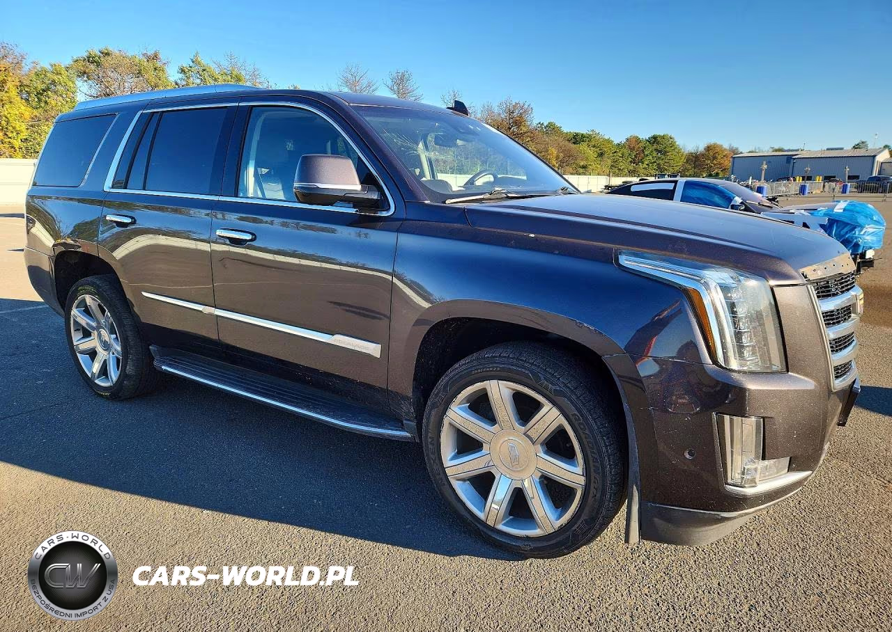 2017 Cadillac Escalade Luxury VIN:1GYS4BKJ8HR346006 - 4
