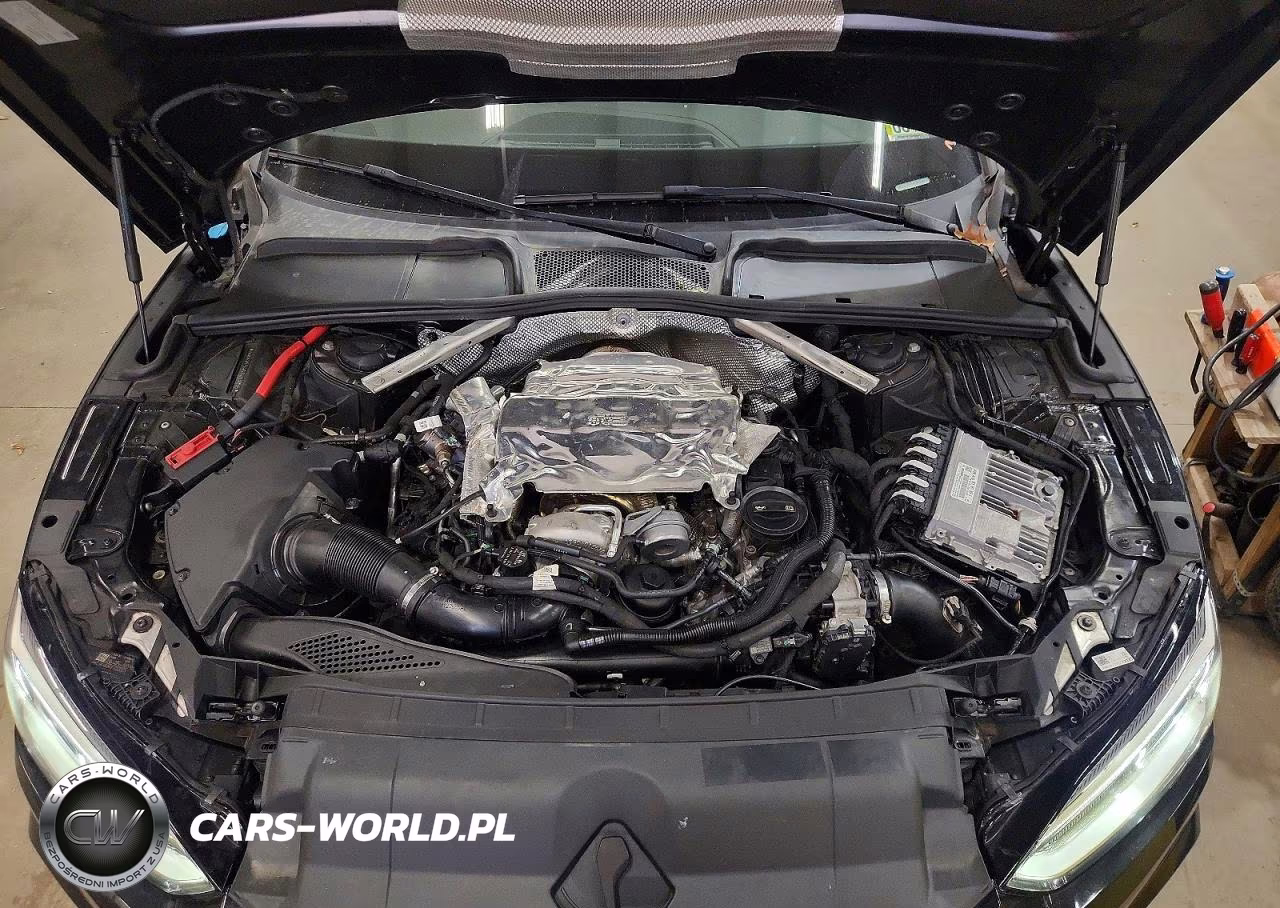 2019 Audi S5 Premium Plus VIN:WAUB4CF54KA001955 - 11
