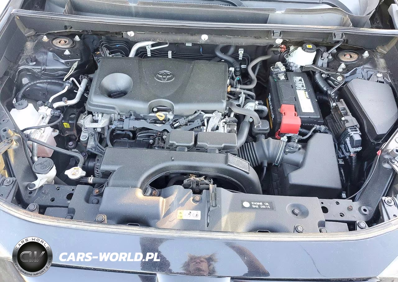 2019 Toyota Rav4 Le VIN:2T3G1RFV8KC054522 - 12