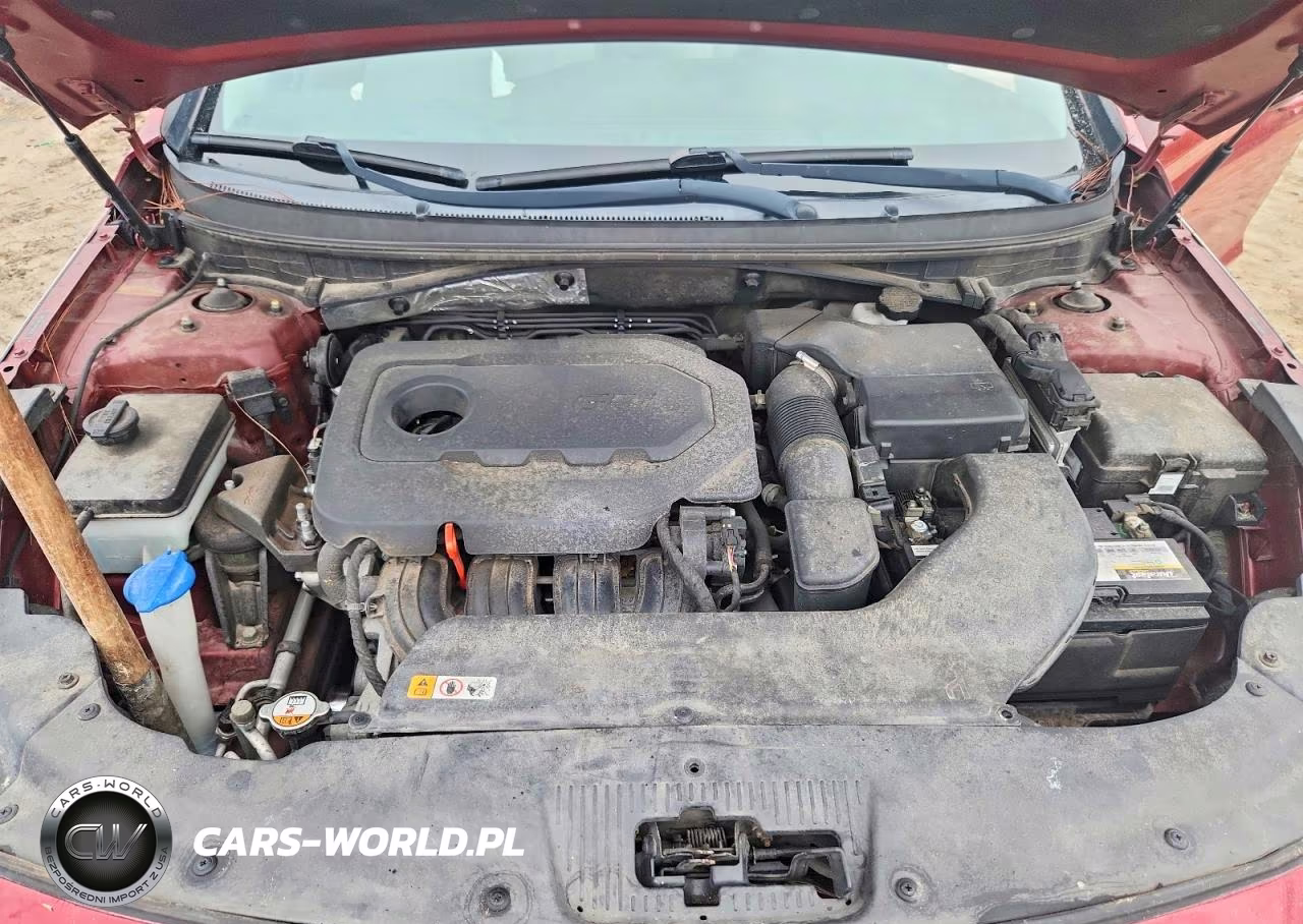 2015 Hyundai Sonata Se VIN:5NPE24AF7FH188926 - 11