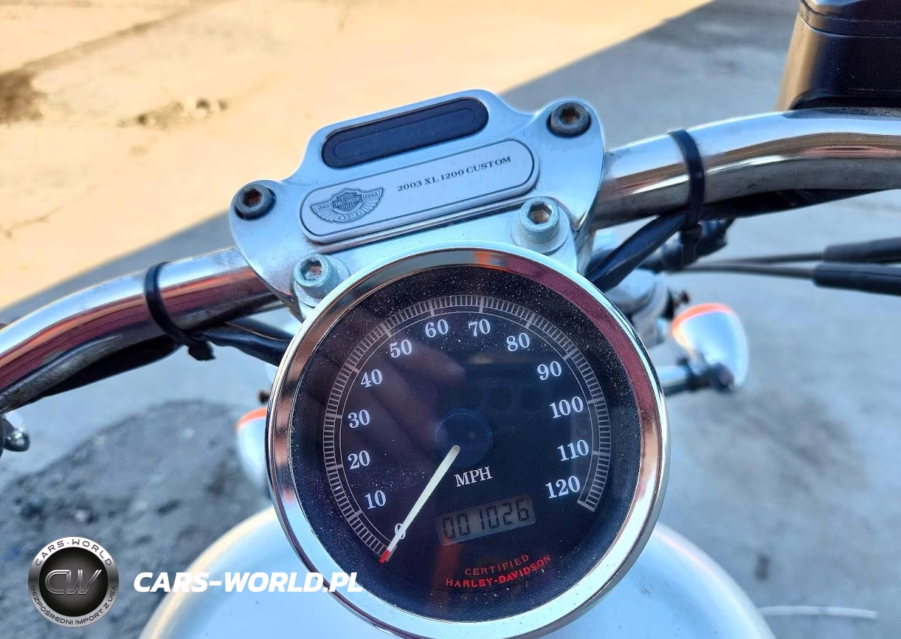 2003 Harley-Davidson Xl1200 C Anniversary VIN:1HD1CGP433K454571 - 7