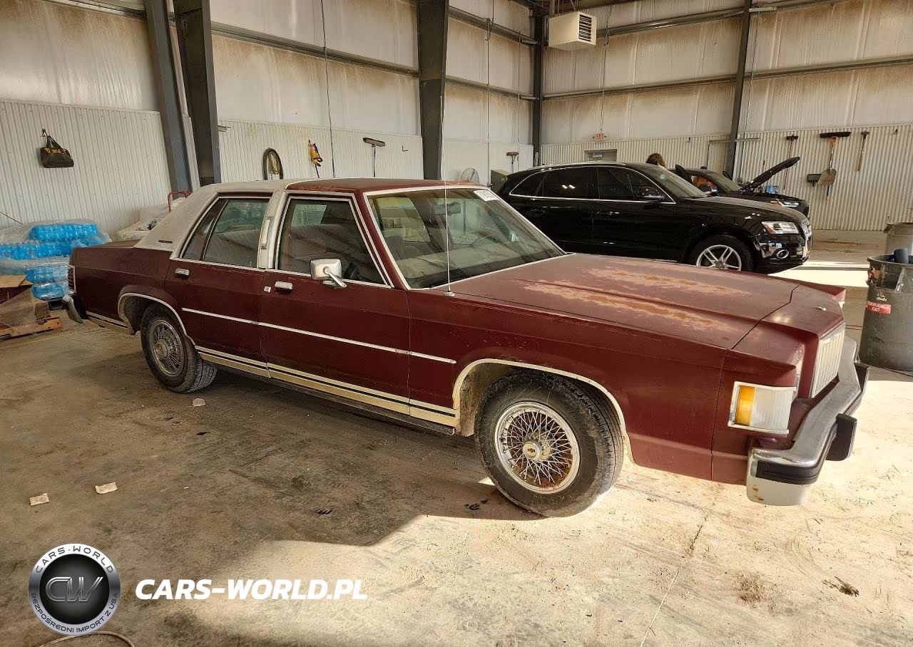 1986 Mercury Grand Marquis VIN:2MEBP95F8GX675496 - 4