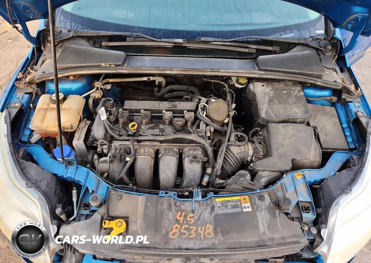 2013 Ford Focus Se VIN:1FADP3F24DL119459 - 11