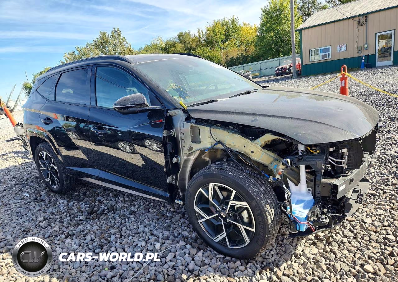 2025 Hyundai Tucson N Line VIN:KM8JFDD14SU391111 - 4