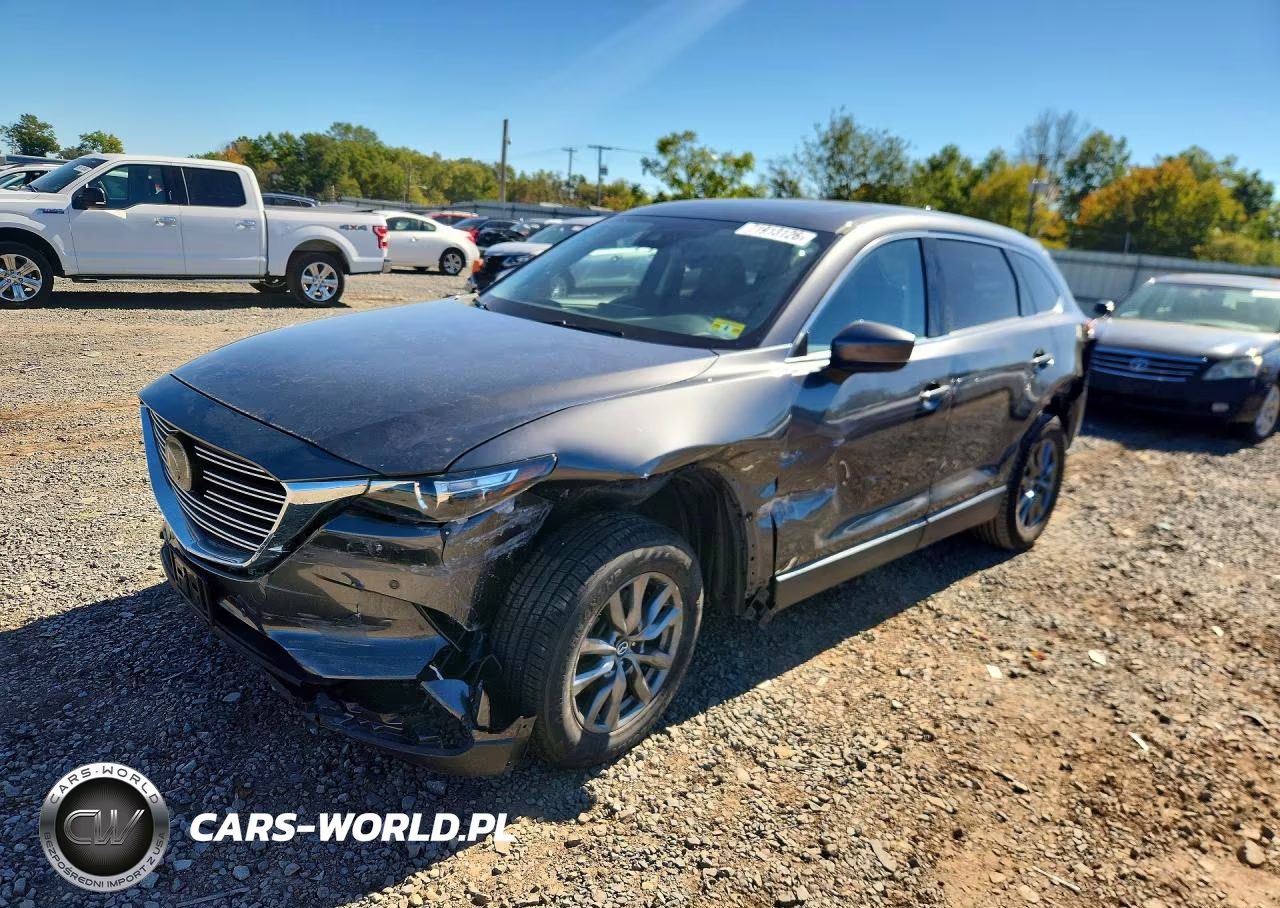2021 Mazda Cx-9 Touring VIN:JM3TCBCYXM0520074 - 1