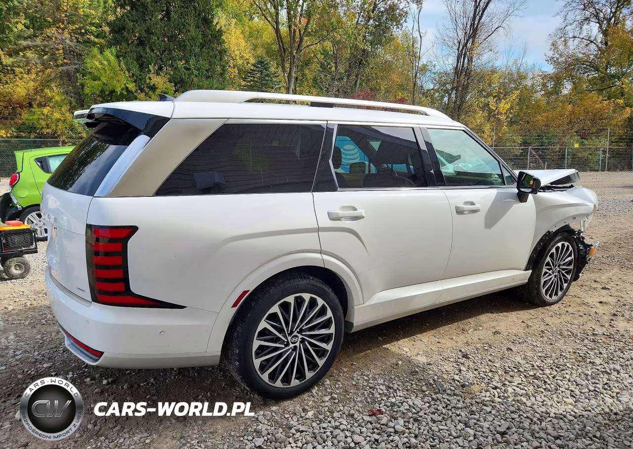 2026 Hyundai Palisade Calligraphy VIN:KM8RMESAXTU049682 - 3