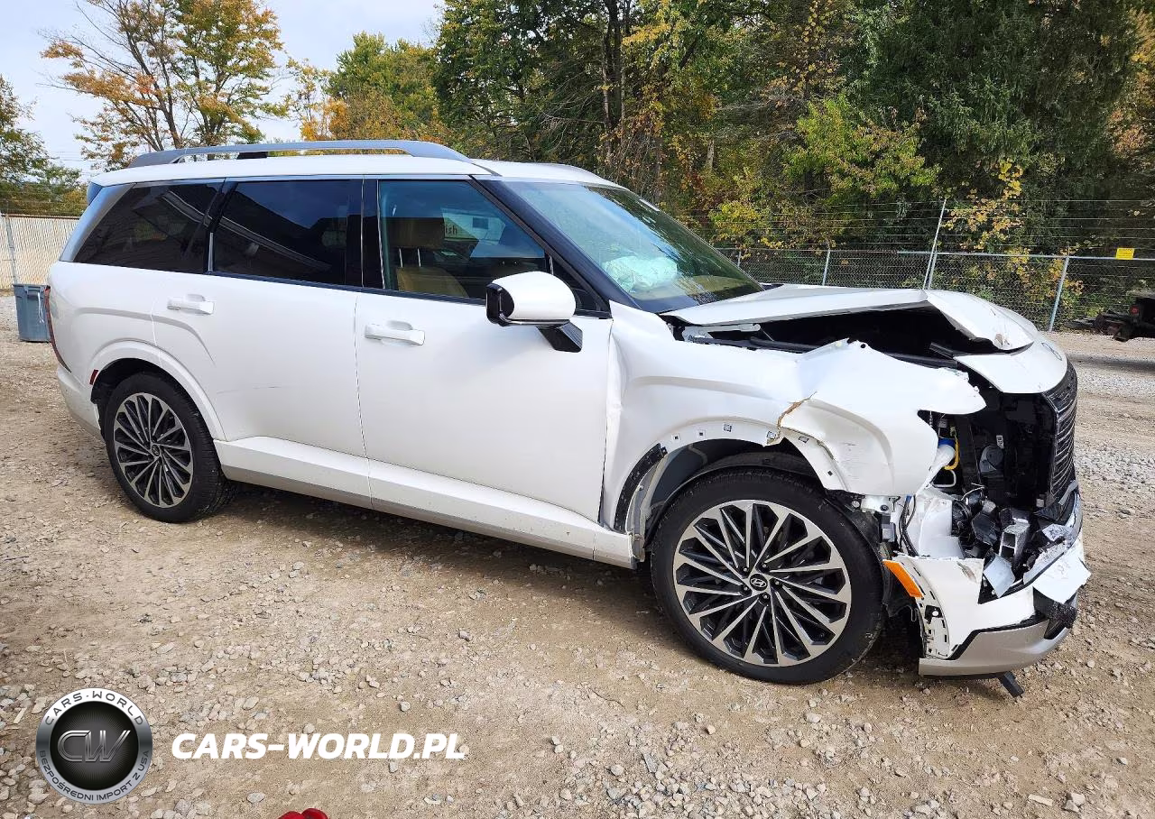 2026 Hyundai Palisade Calligraphy VIN:KM8RMESAXTU049682 - 4