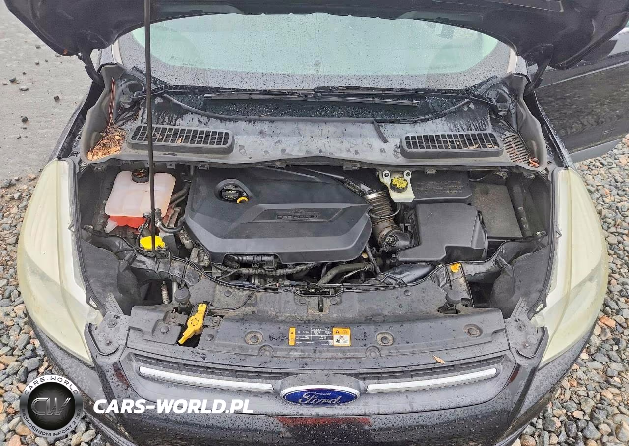 2014 Ford Escape Se VIN:1FMCU0GX5EUD77472 - 11