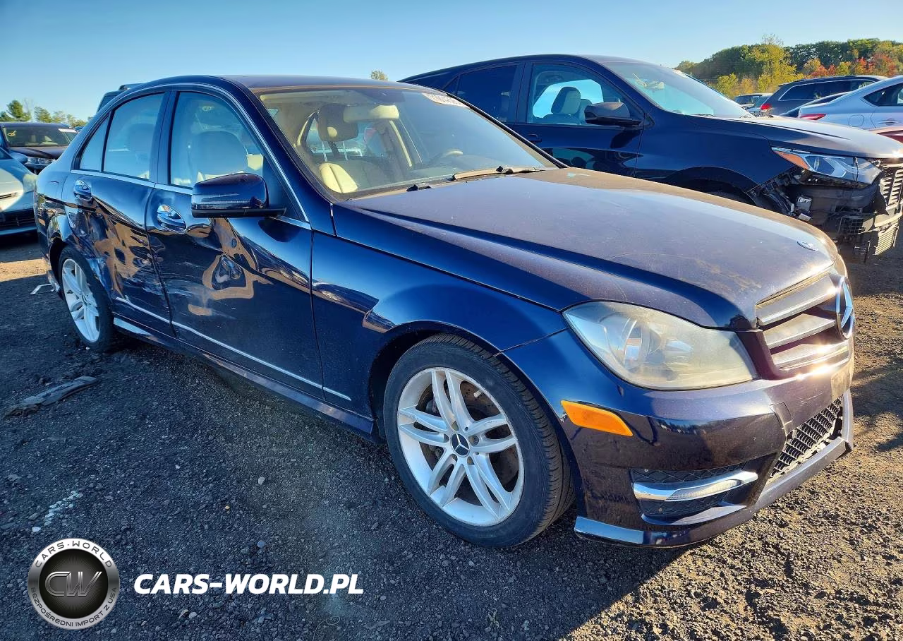 2014 Mercedes-Benz C 300 4Matic VIN:WDDGF8AB6EA891849 - 4