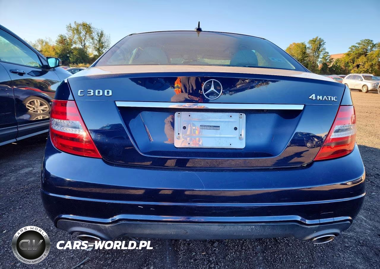 2014 Mercedes-Benz C 300 4Matic VIN:WDDGF8AB6EA891849 - 6