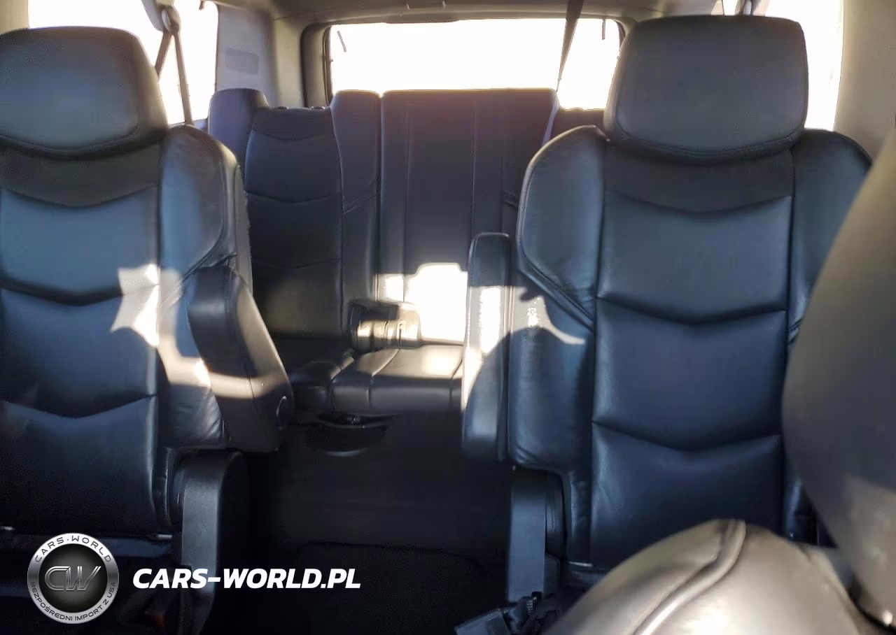 2020 Cadillac Escalade Esv Luxury VIN:1GYS4HKJ5LR169426 - 10