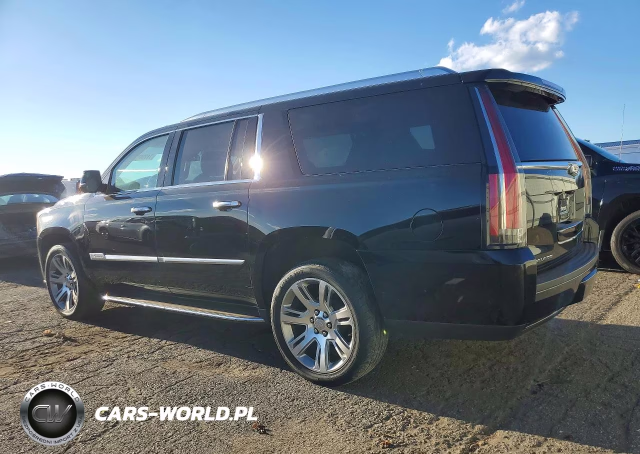2020 Cadillac Escalade Esv Luxury VIN:1GYS4HKJ5LR169426 - 2