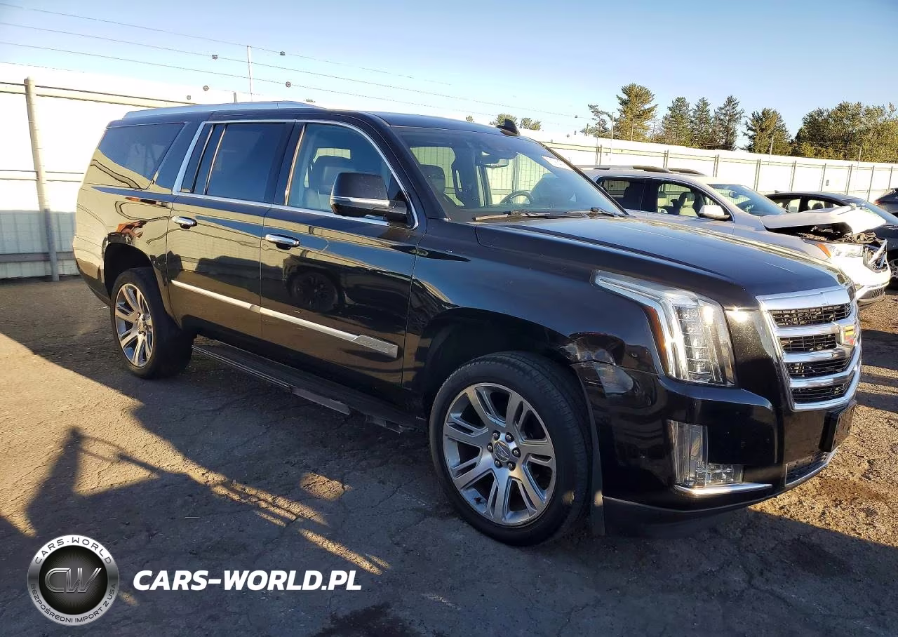 2020 Cadillac Escalade Esv Luxury VIN:1GYS4HKJ5LR169426 - 4