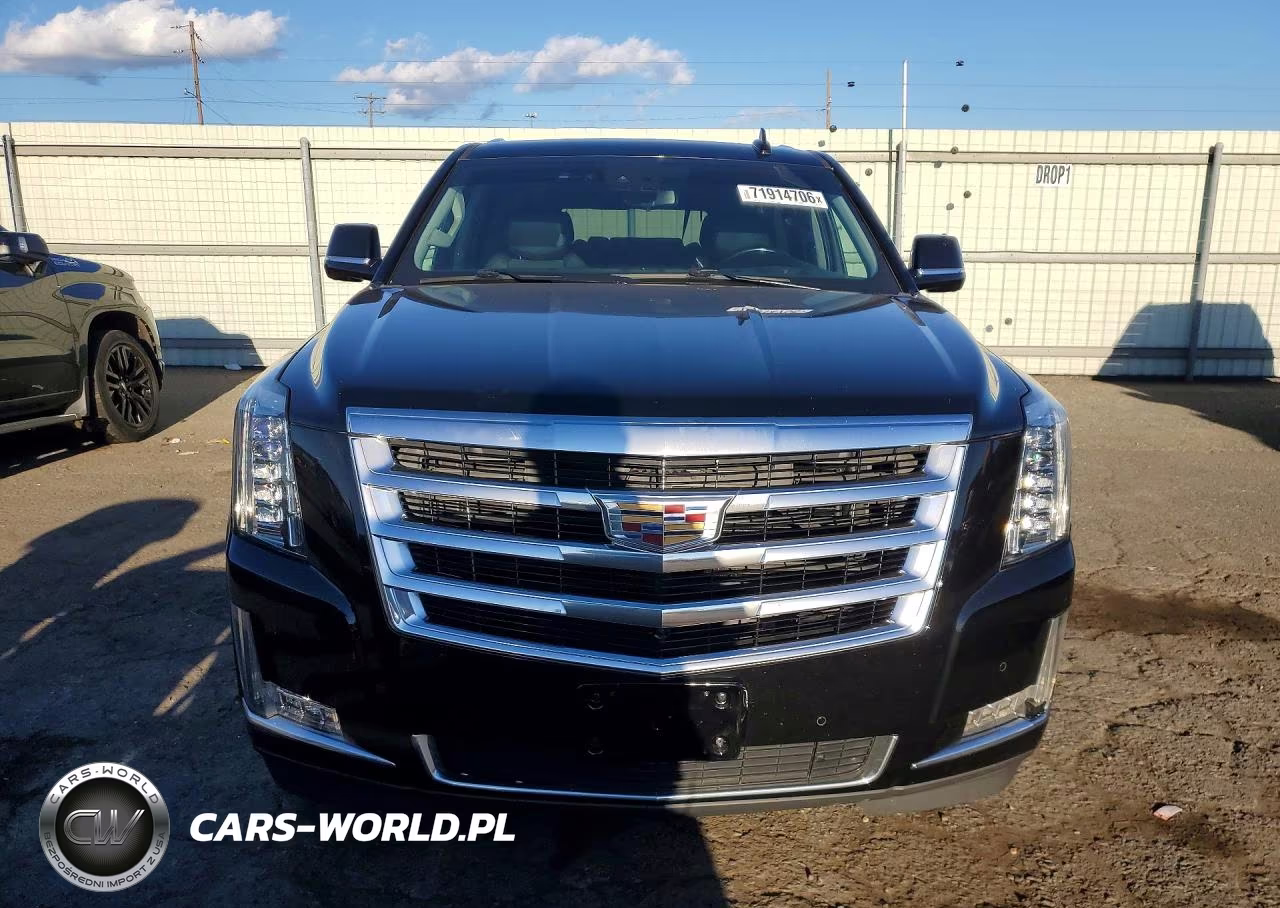 2020 Cadillac Escalade Esv Luxury VIN:1GYS4HKJ5LR169426 - 5