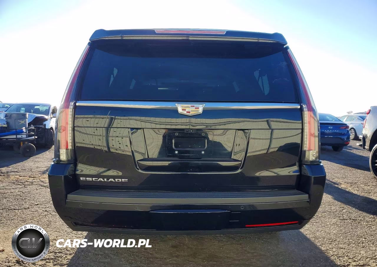 2020 Cadillac Escalade Esv Luxury VIN:1GYS4HKJ5LR169426 - 6