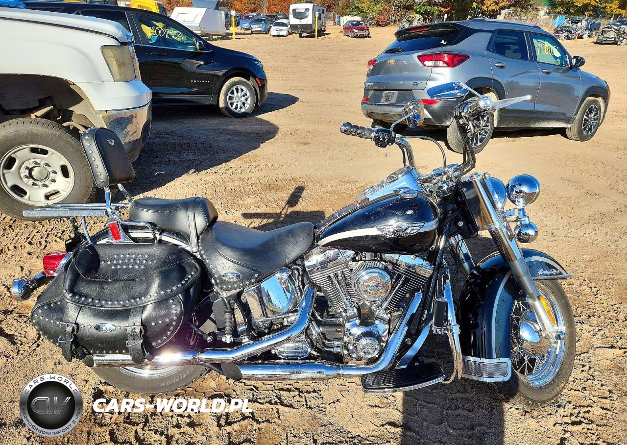 2003 Harley-Davidson Flstci