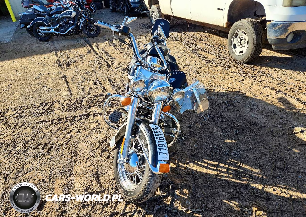 2003 Harley-Davidson Flstci VIN:1HD1BWB1X3Y044048 - 2