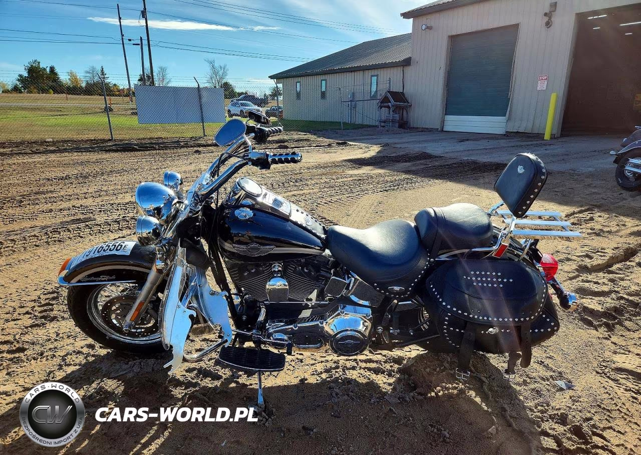 2003 Harley-Davidson Flstci VIN:1HD1BWB1X3Y044048 - 3