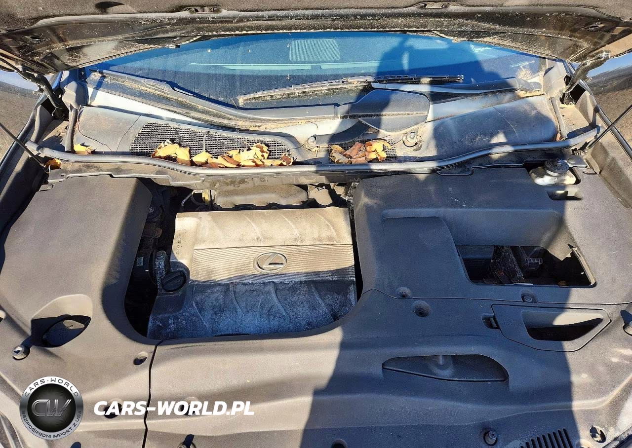 2015 Lexus Rx 350 Base VIN:2T2BK1BA2FC265463 - 12