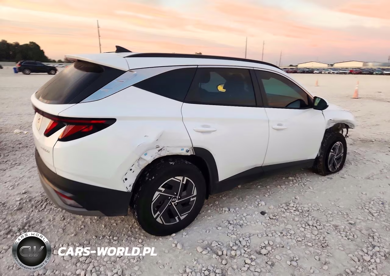 2025 Hyundai Tucson Blue VIN:KM8JBDD1XSU285208 - 3