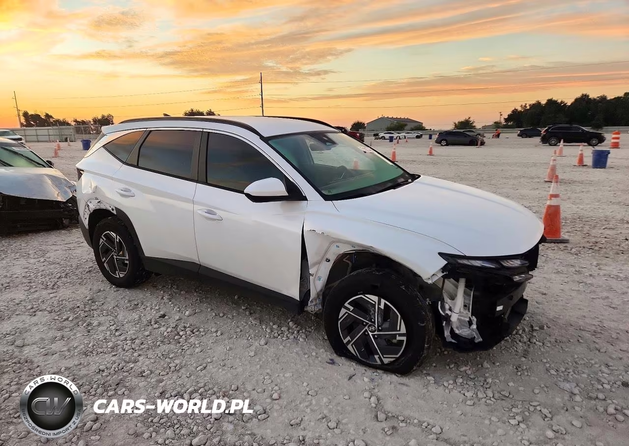 2025 Hyundai Tucson Blue VIN:KM8JBDD1XSU285208 - 4