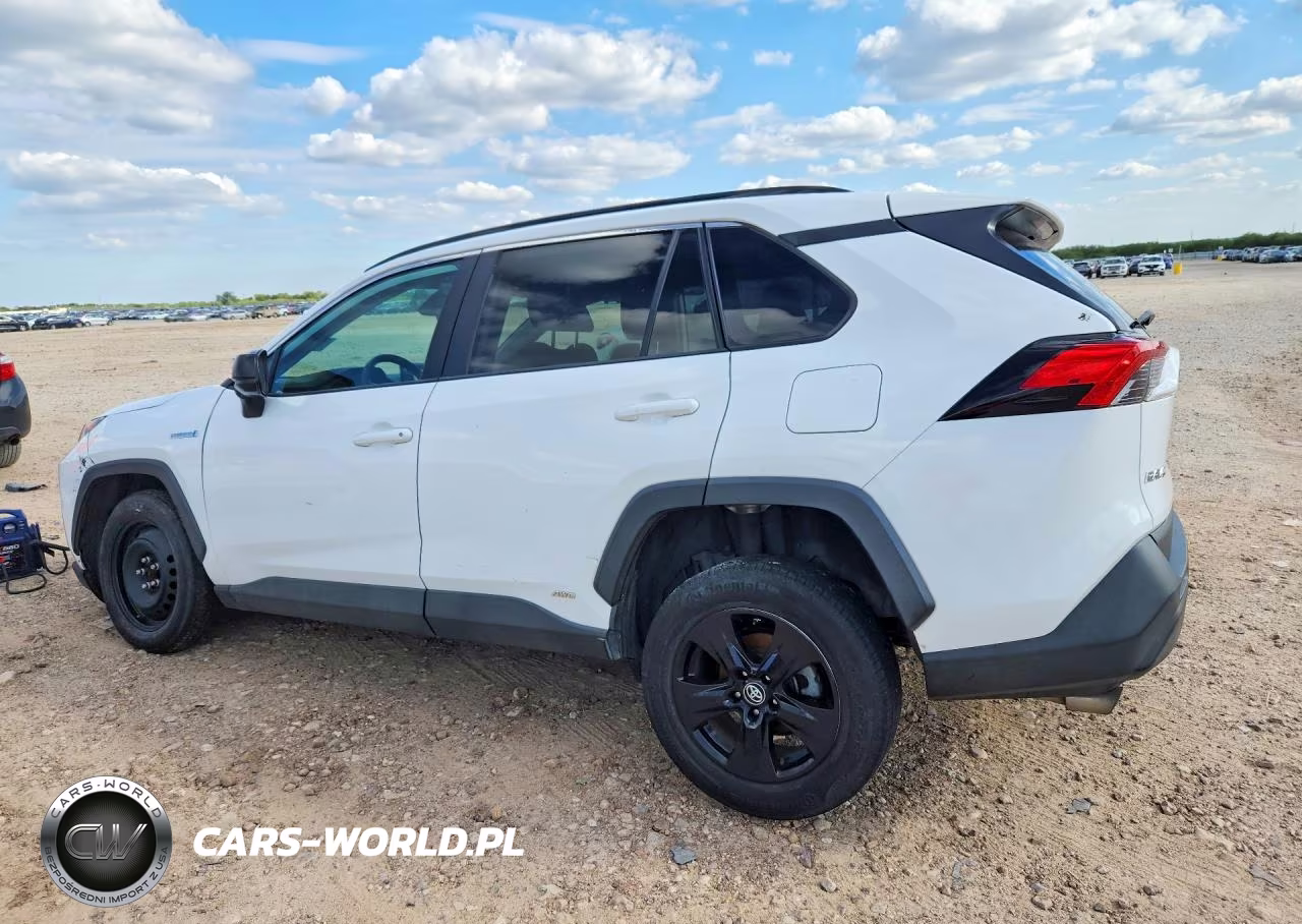 2021 Toyota Rav4 Le VIN:4T3L6RFV7MU009492 - 2