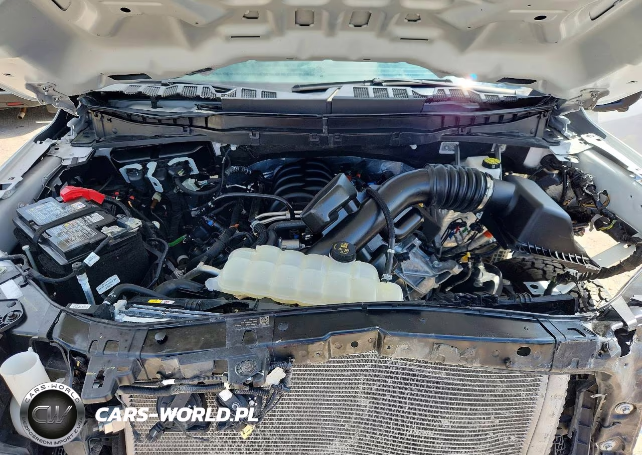 2025 Ford F150 Tremor VIN:1FTFW4L50SFA94288 - 11