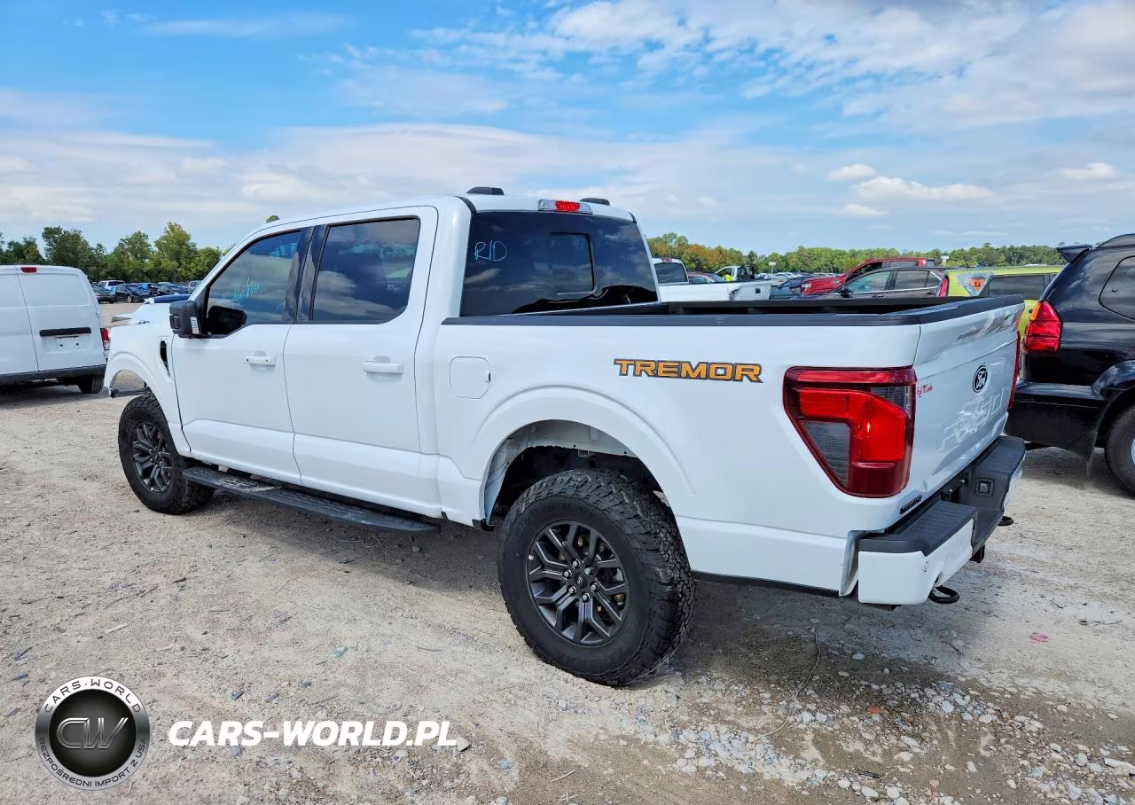 2025 Ford F150 Tremor VIN:1FTFW4L50SFA94288 - 2