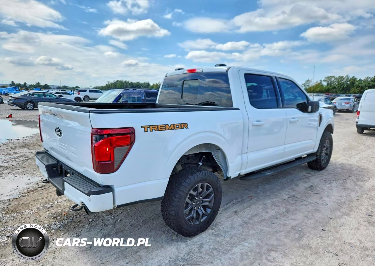 2025 Ford F150 Tremor VIN:1FTFW4L50SFA94288 - 3