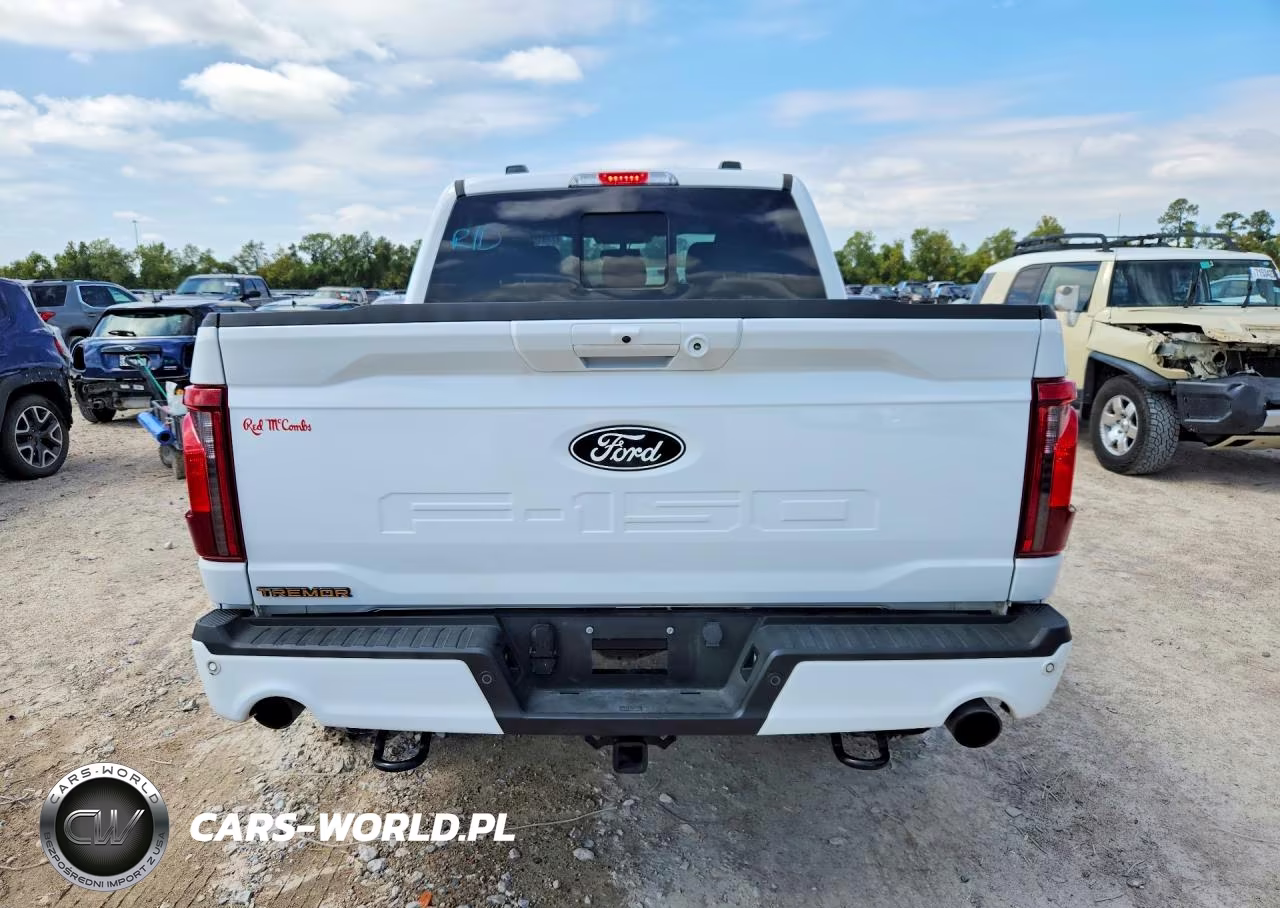 2025 Ford F150 Tremor VIN:1FTFW4L50SFA94288 - 6