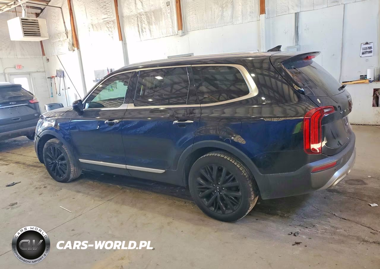 2020 Kia Telluride Sx VIN:5XYP54HC7LG027555 - 2