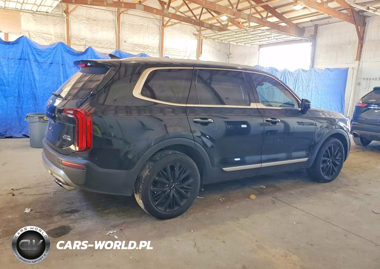 2020 Kia Telluride Sx VIN:5XYP54HC7LG027555 - 3