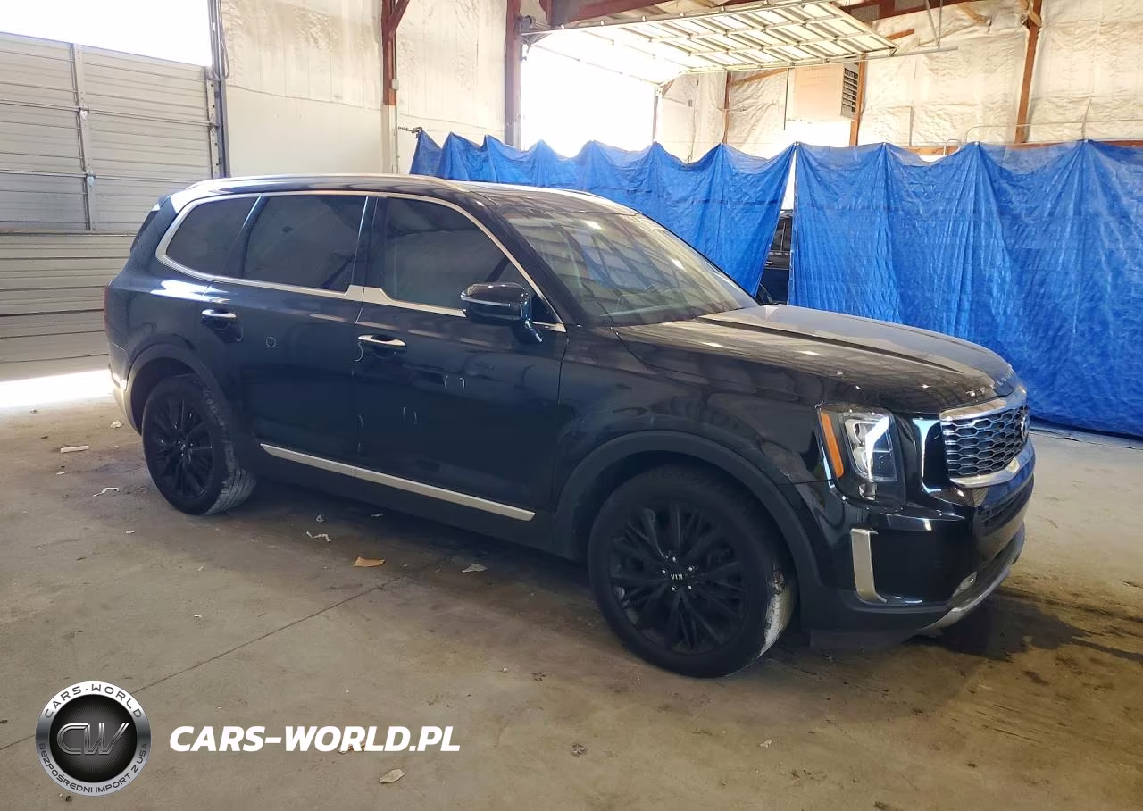 2020 Kia Telluride Sx VIN:5XYP54HC7LG027555 - 4