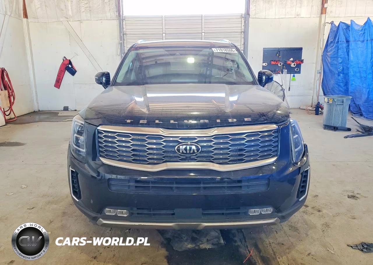 2020 Kia Telluride Sx VIN:5XYP54HC7LG027555 - 5