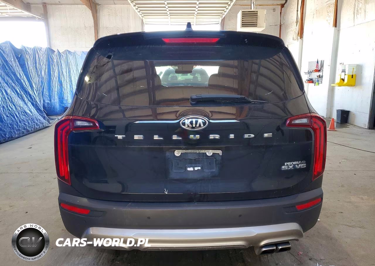 2020 Kia Telluride Sx VIN:5XYP54HC7LG027555 - 6