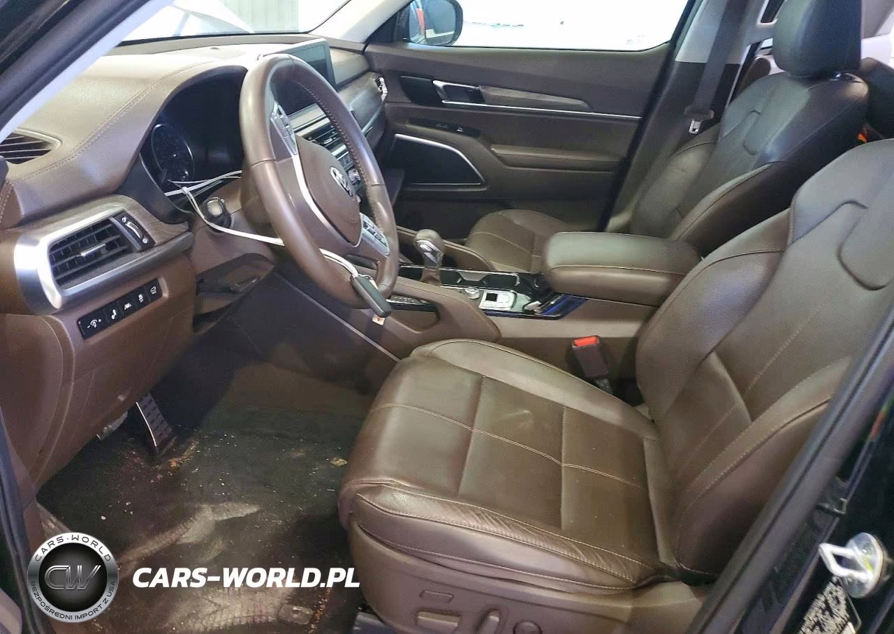 2020 Kia Telluride Sx VIN:5XYP54HC7LG027555 - 7