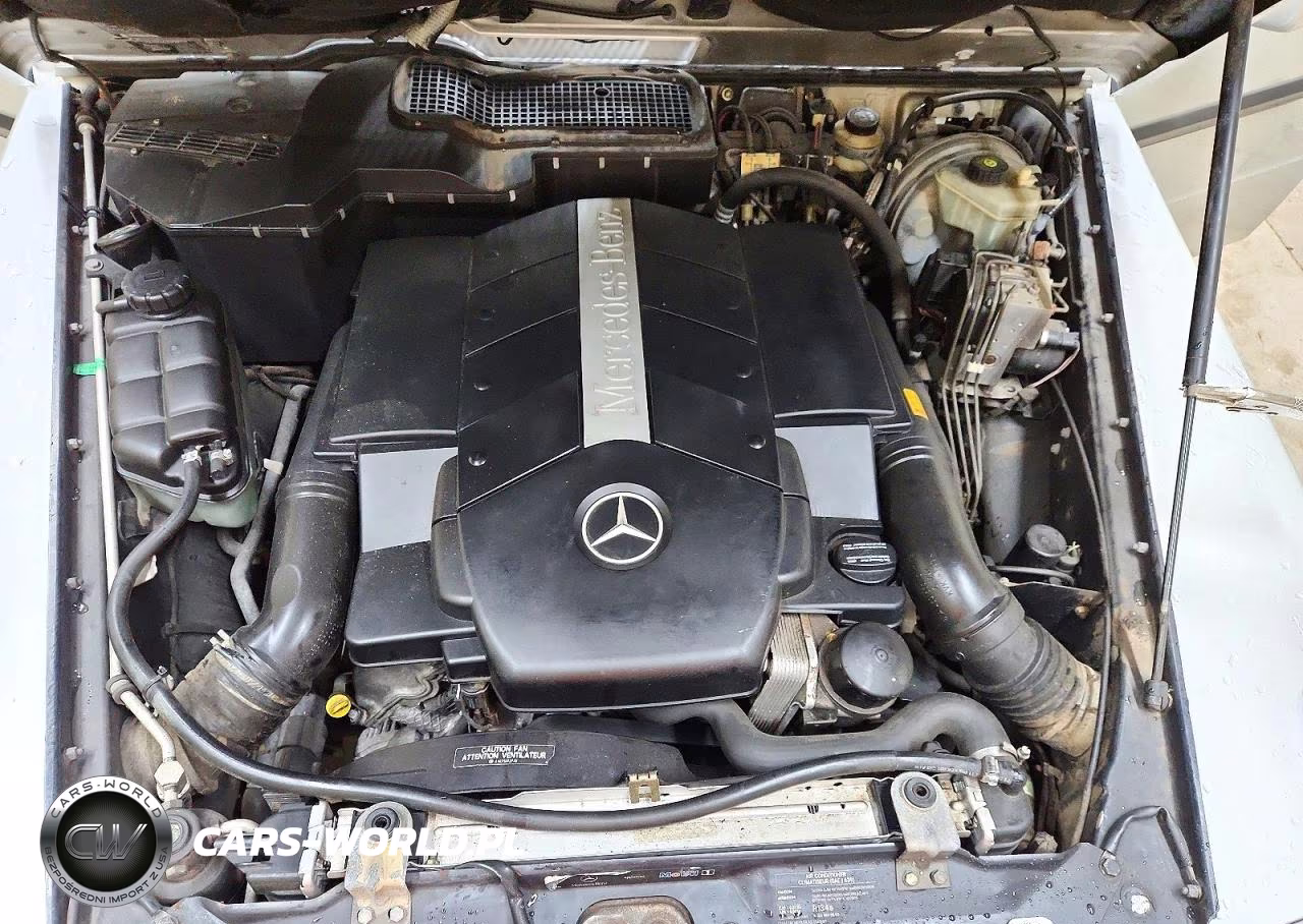 2002 Mercedes-Benz G 500 VIN:WDCYR49E02X133800 - 12