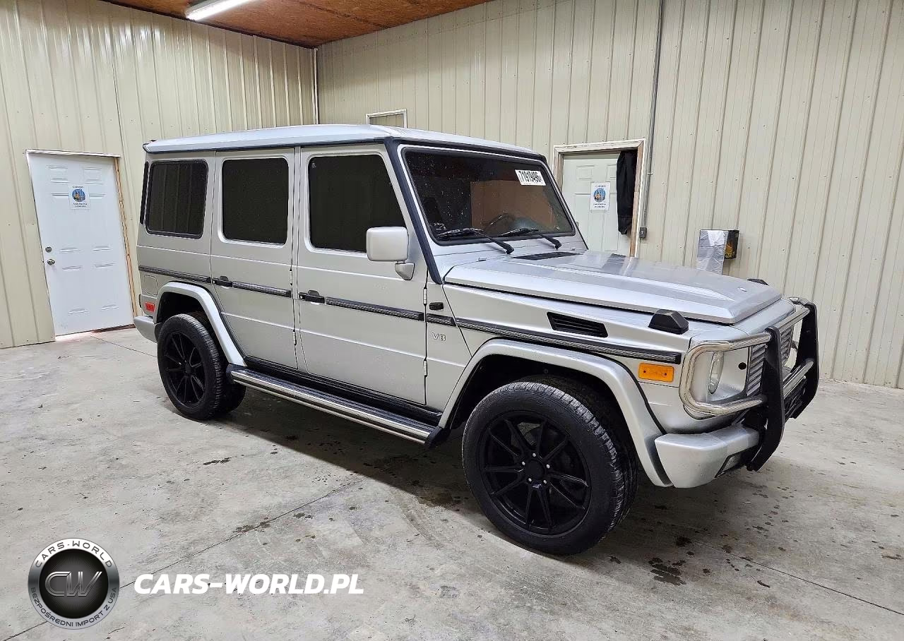 2002 Mercedes-Benz G 500 VIN:WDCYR49E02X133800 - 4