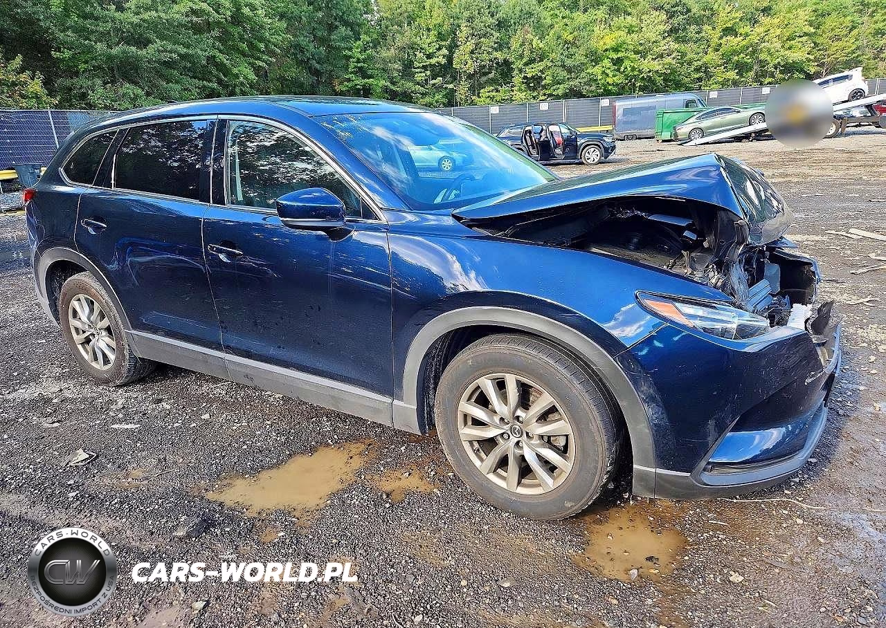 2016 Mazda Cx-9 Touring VIN:JM3TCBCY5G0127068 - 4
