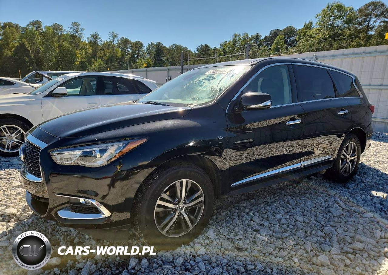 2020 Infiniti Qx60 Pure VIN:5N1DL0MN5LC532566 - 1