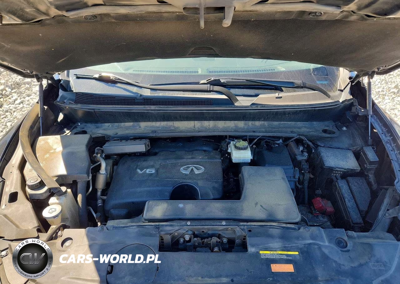 2020 Infiniti Qx60 Pure VIN:5N1DL0MN5LC532566 - 12