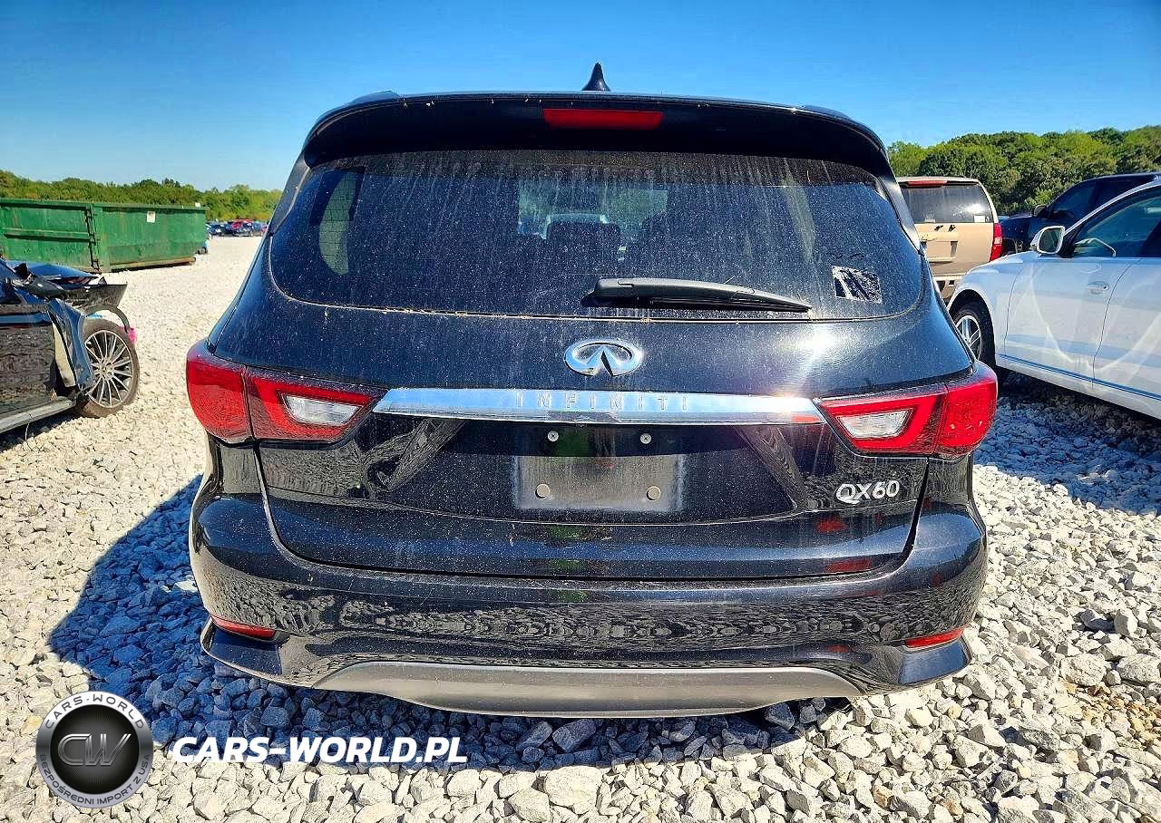 2020 Infiniti Qx60 Pure VIN:5N1DL0MN5LC532566 - 6