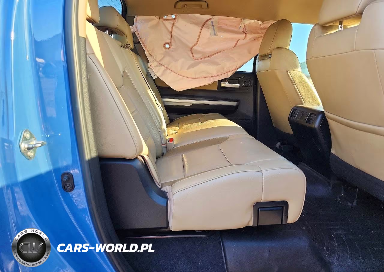 2019 Toyota Tundra Crewmax Limited VIN:5TFHY5F13KX799307 - 10