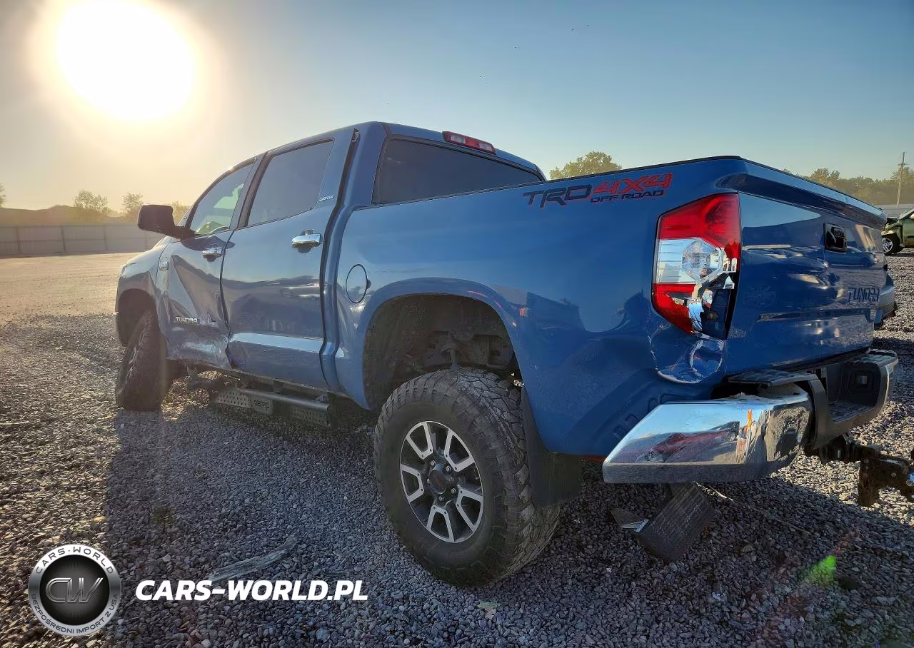 2019 Toyota Tundra Crewmax Limited VIN:5TFHY5F13KX799307 - 2